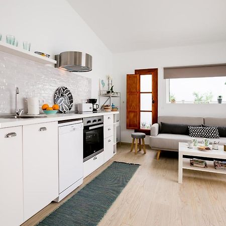 Cactus Apartment San Miguel de Abona Dış mekan fotoğraf