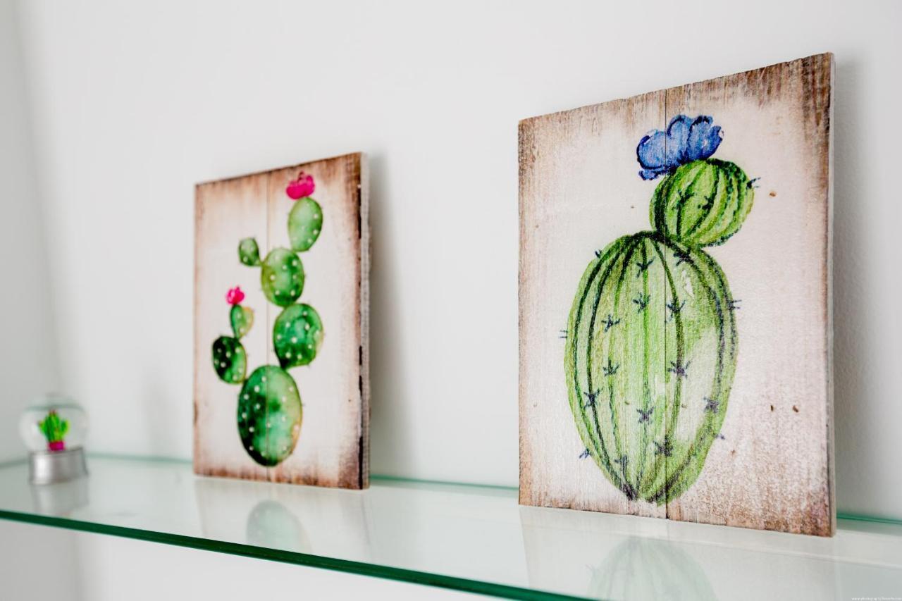 Cactus Apartment San Miguel de Abona Dış mekan fotoğraf
