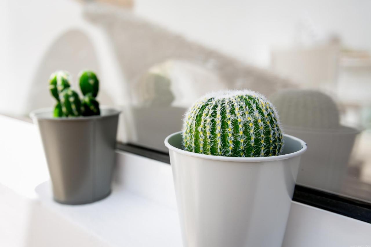 Cactus Apartment San Miguel de Abona Dış mekan fotoğraf