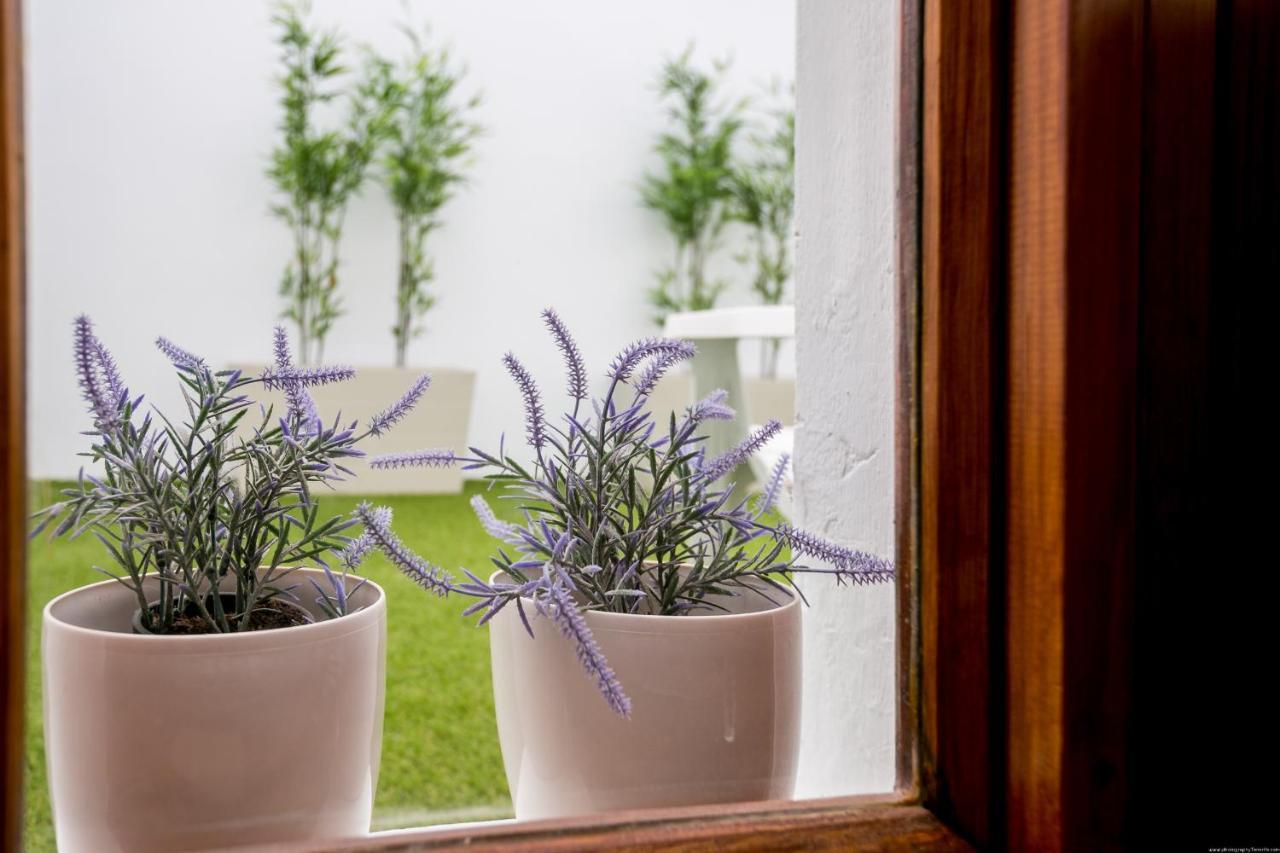 Cactus Apartment San Miguel de Abona Dış mekan fotoğraf