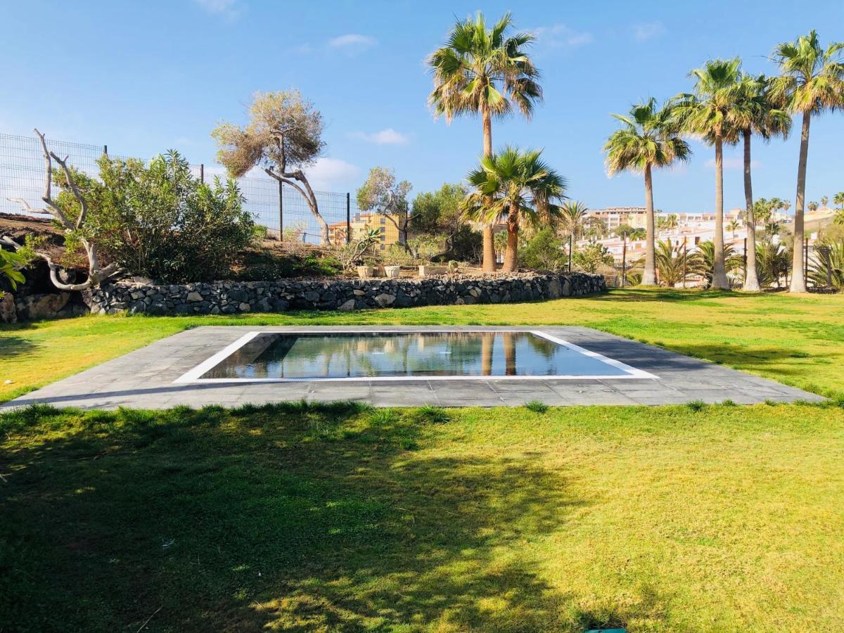 Cactus Apartment San Miguel de Abona Dış mekan fotoğraf