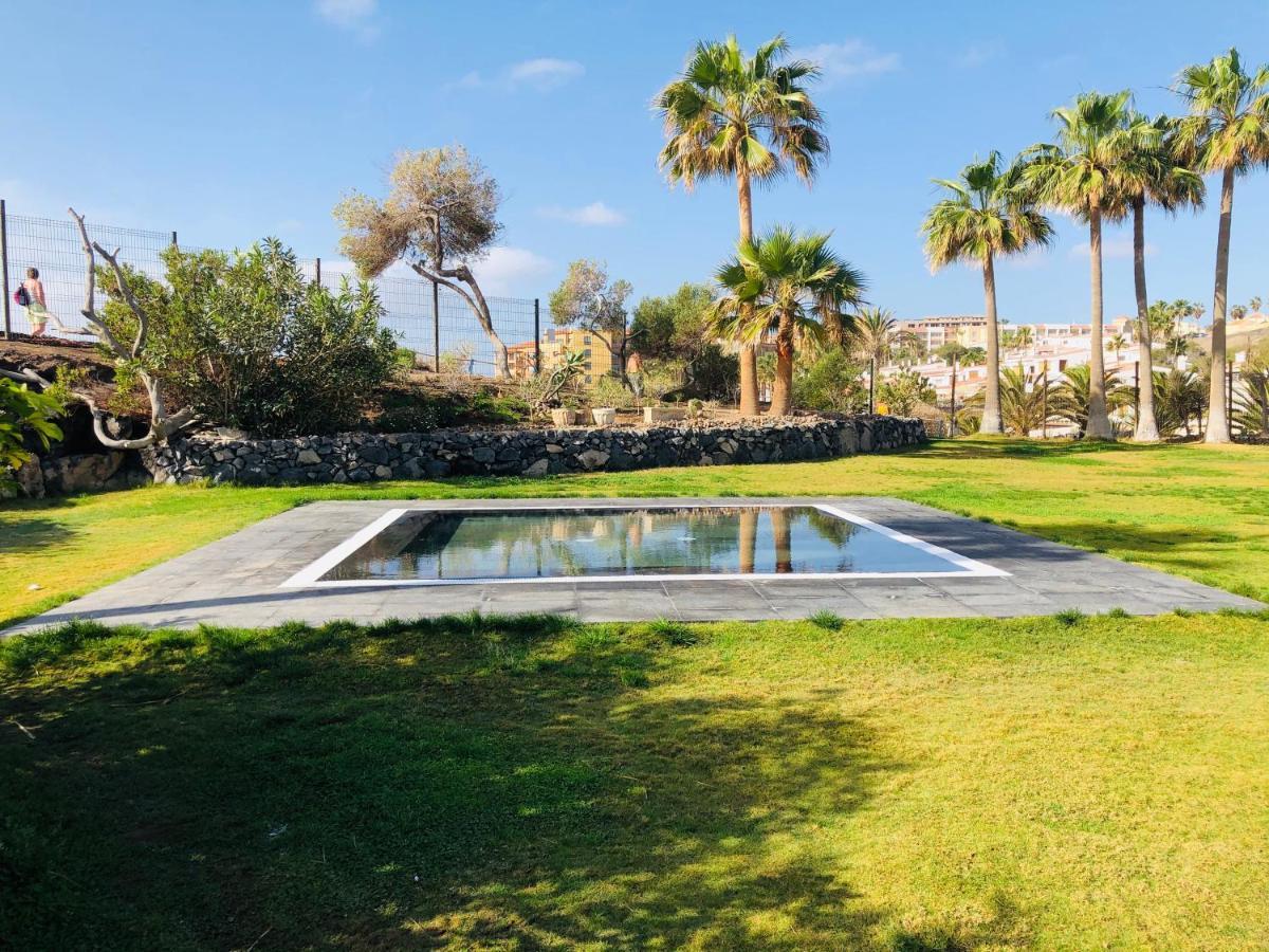 Cactus Apartment San Miguel de Abona Dış mekan fotoğraf